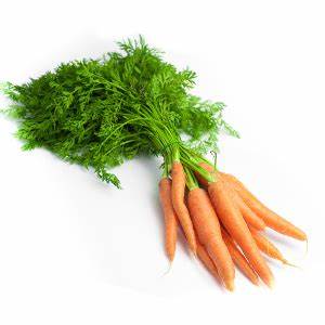 Carottes bio avec fanes