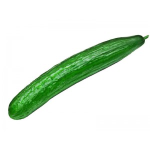 Concombre Bio