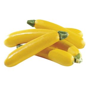 Courgettes jaunes Bio