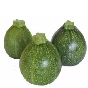 Courgettes rondes vertes Bio
