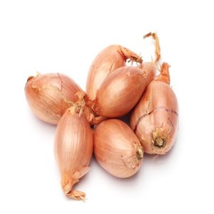 Echalottes Bio