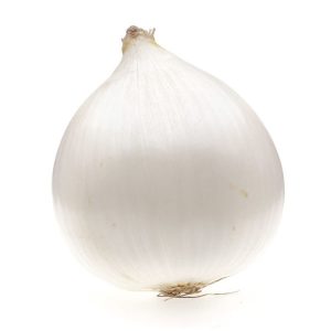 Oignons blancs Bio
