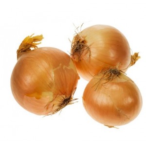 Oignons jaunes Bio