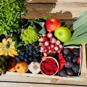 Paniers de légumes Bio - Mini
