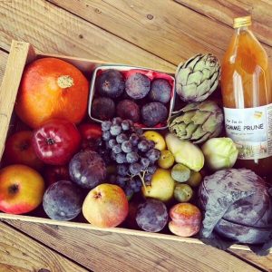 Panier fruits et légumes Bio - Gourmand