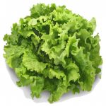 salade-batavia